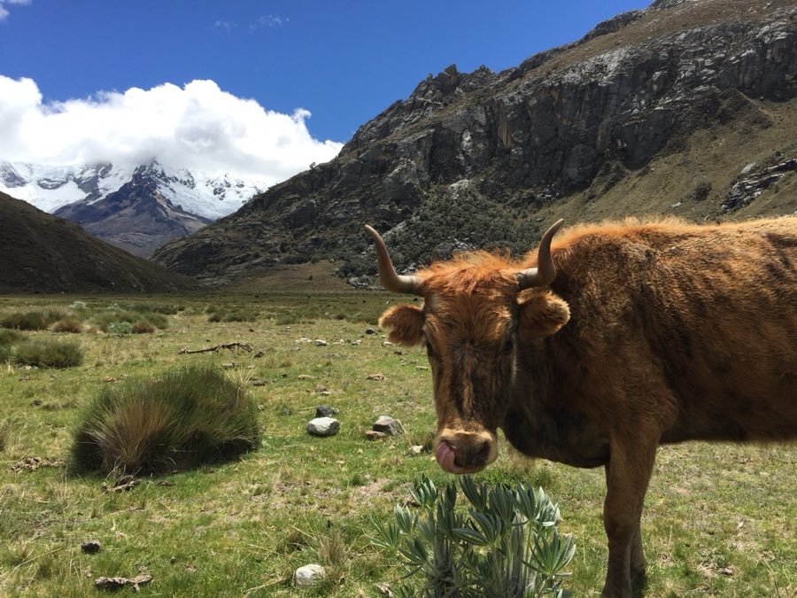 Yungay, Peru